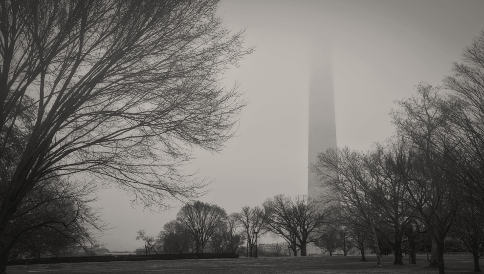 Market Insights January 12, 2026