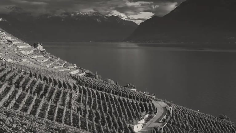 New tax reliefs on donations and Inheritances in 2025: Opportunities for Vaud families