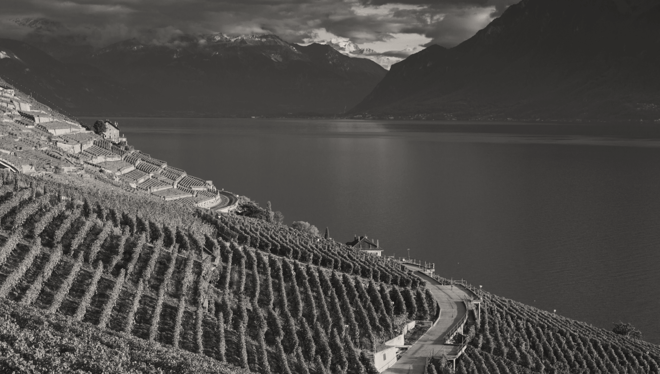 New tax reliefs on donations and Inheritances in 2025: Opportunities for Vaud families