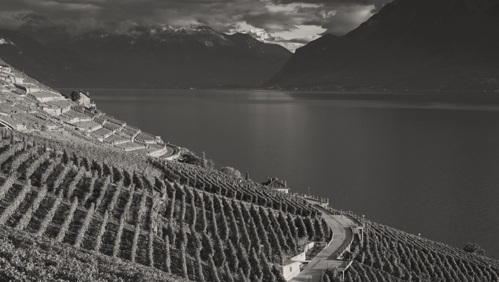 New tax reliefs on donations and Inheritances in 2025: Opportunities for Vaud families