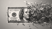 Dépréciation du dollar : entre diversification globale et opportunité stratégique pour les États-Unis