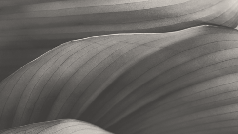 Discover our 2024 ESG Report