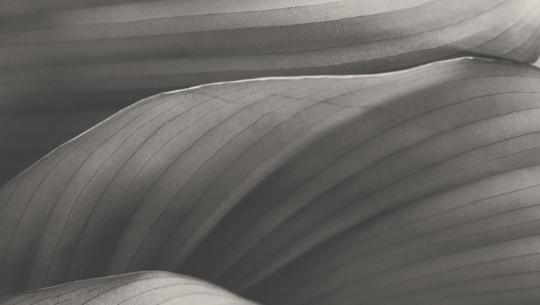 Discover our 2024 ESG Report