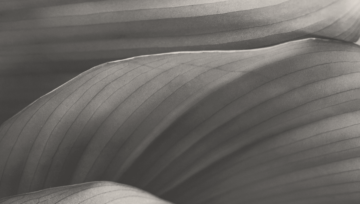 Découvrez notre Rapport RSE 2024