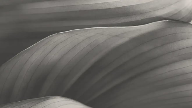 Discover our 2024 ESG Report