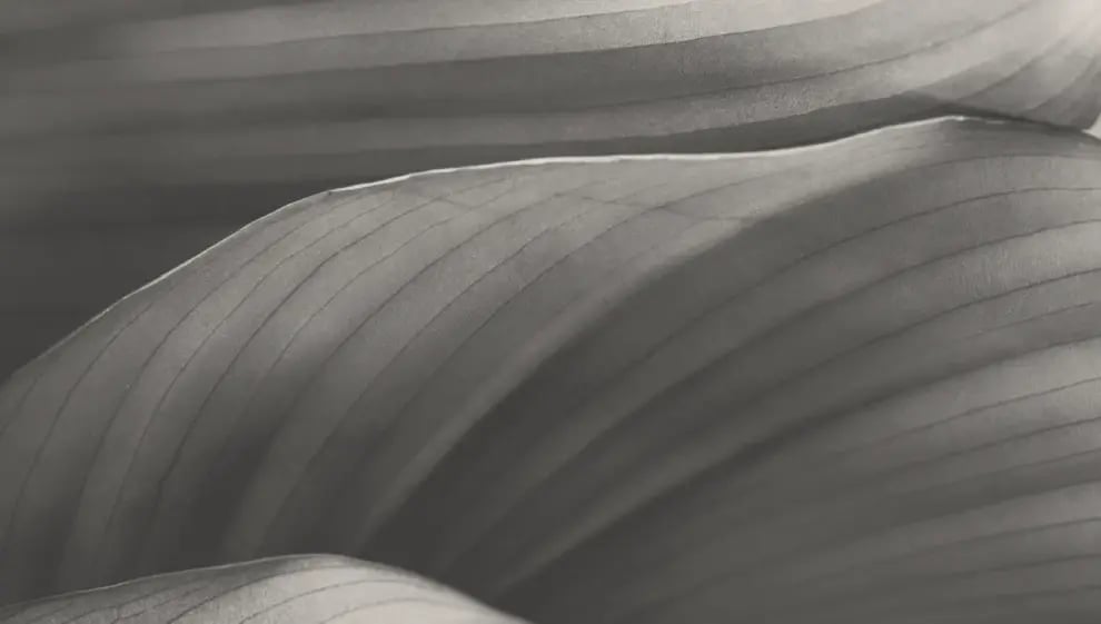 Discover our 2024 ESG Report