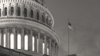 Market Insights - 6 October 2025