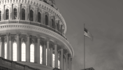 Market Insights - 6 October 2025