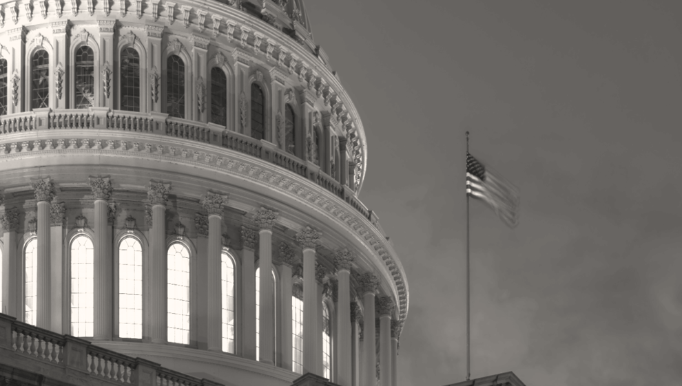 Market Insights - 6 October 2025