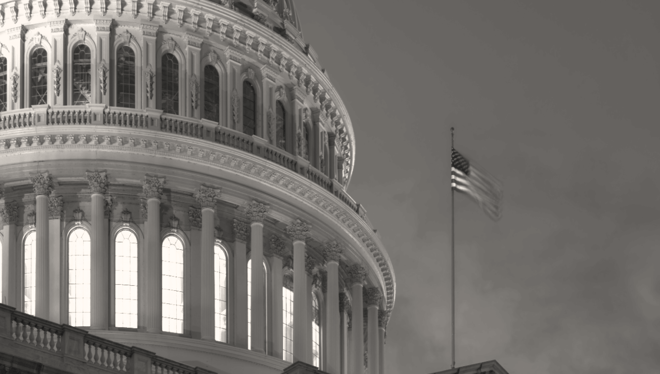 Market Insights - 6 October 2025