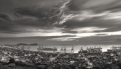 Market Insights October 20, 2025