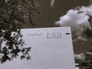 Piguet Galland supports the exhibition presented by Photo Elysée