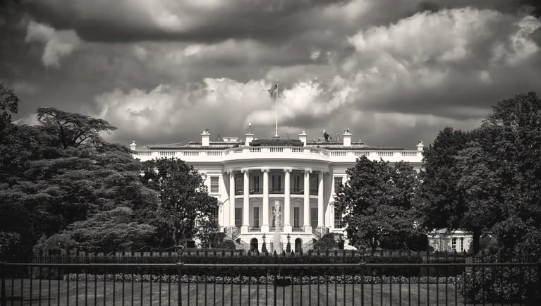 usa white house