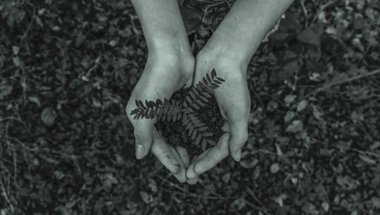 Comptabilite ESG  mesurer ce qui compte
