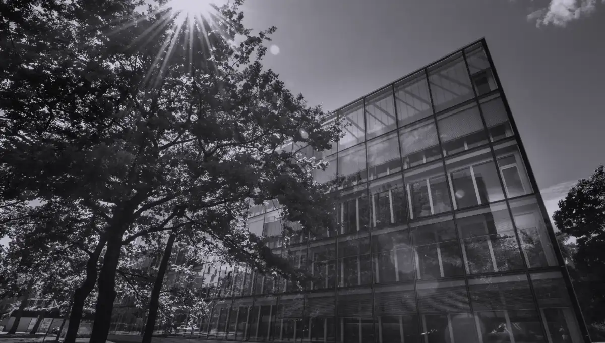 External Asset Managers and custodian banks: a relationship that goes beyond transactions