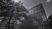 External Asset Managers and custodian banks: a relationship that goes beyond transactions