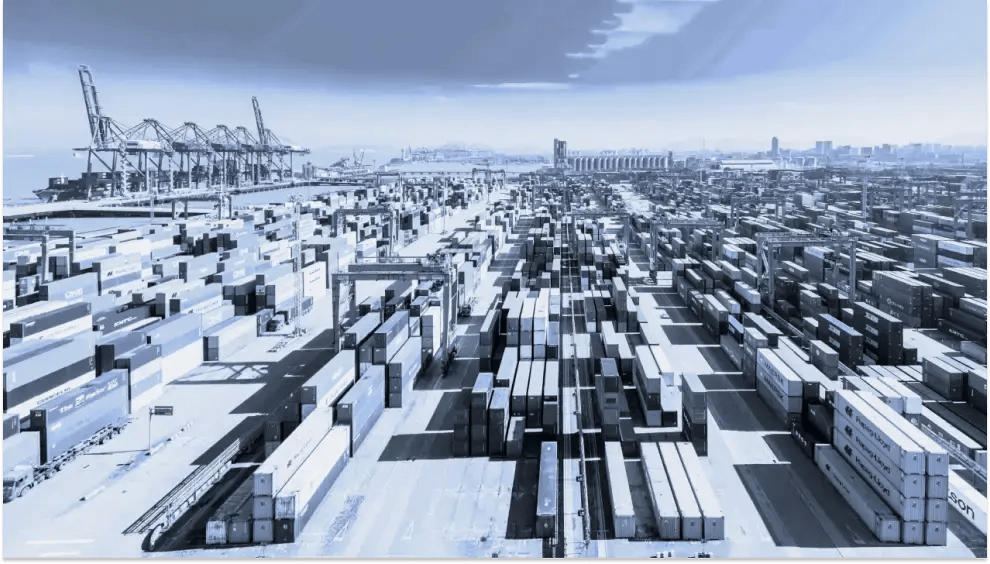 Market Insights - November 11, 2024
