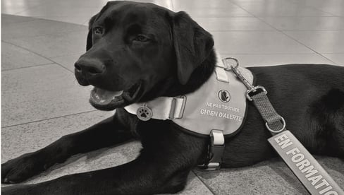 One year of complicity between Taïga and José-Carlos Torrecillas