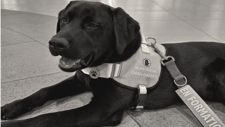 Un an de complicité entre Taïga et José-Carlos Torrecillas