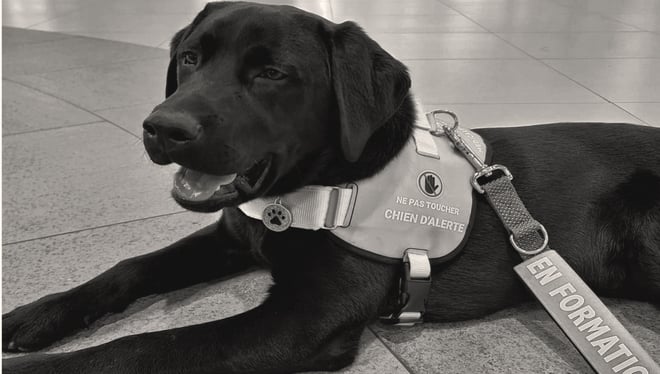 Un an de complicité entre Taïga et José-Carlos Torrecillas