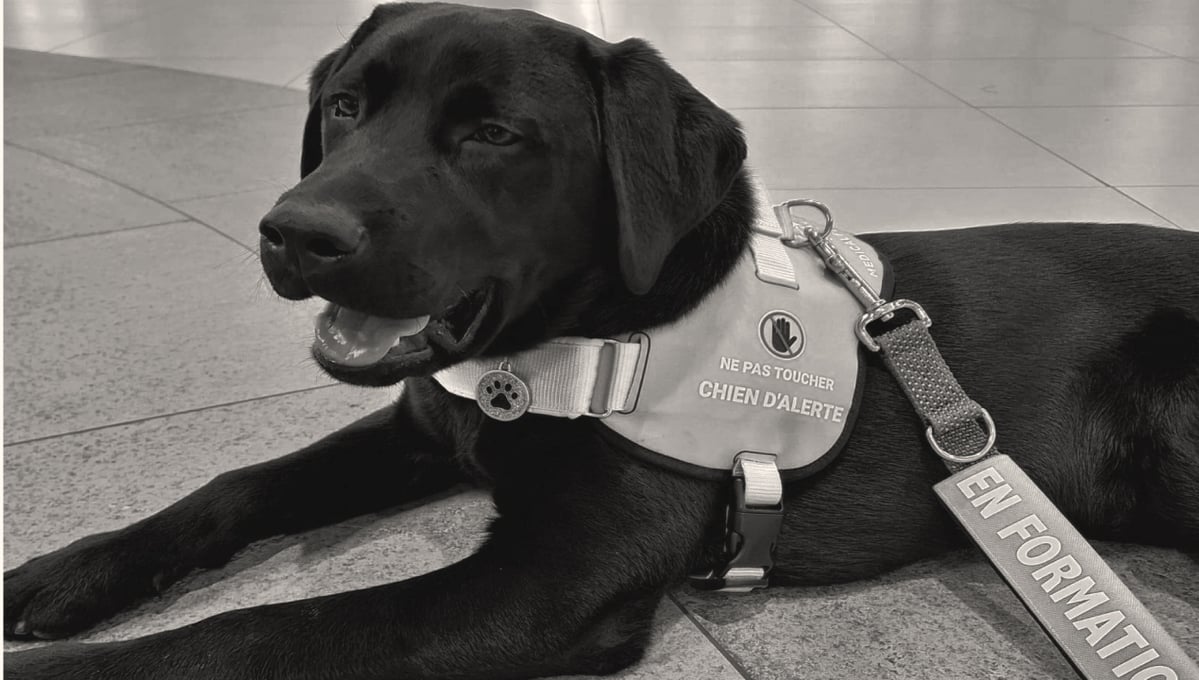 Un an de complicité entre Taïga et José-Carlos Torrecillas