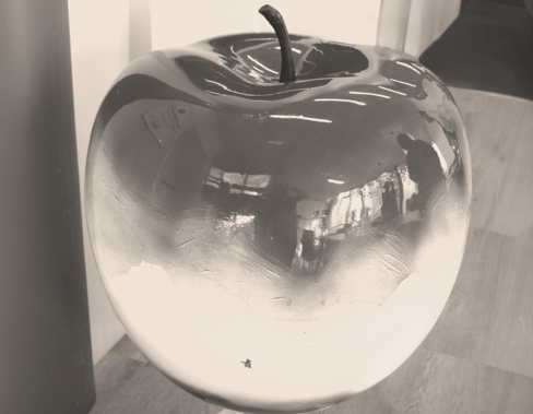 Au fil des pommes : quand un geste solidaire nourrit à la fois les personnes et les valeurs