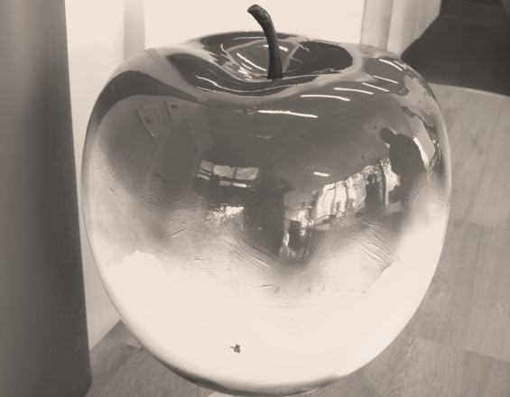 Au fil des pommes : quand un geste solidaire nourrit à la fois les personnes et les valeurs