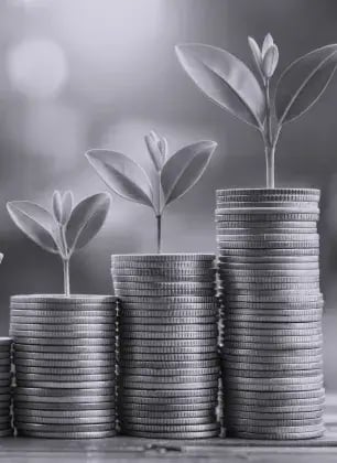 strengthen your assets
