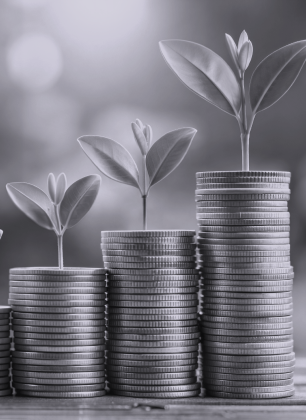 strengthen your assets